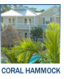Coral Hammock vacation rentals